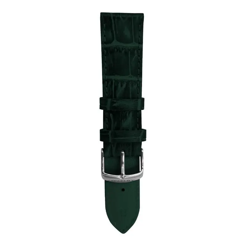 Aries Gold Ag-L0056-22 Green Leather Strap 1