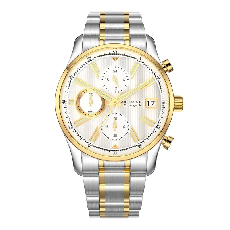 Aries Gold Champion Two-Tone Men Watch Stainless Steel Strap | G 7020 Sg-Sg 1