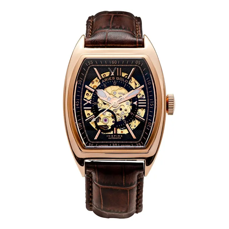 Aries Gold Infinum Cruiser Brown Men's Watch - Skeleton Dial | G 901A Rg-Bkrg 1