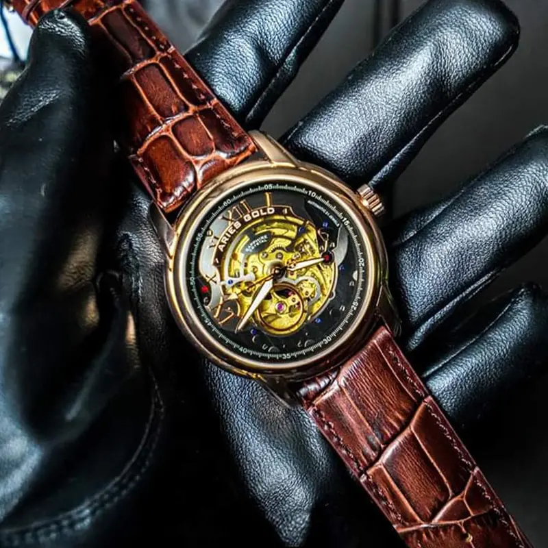Aries Gold Infinum El Toro Brown Men's Watch - Skeleton Dial | G 9005G Rg-Bk 2