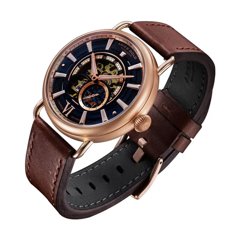 Aries Gold Rocky Limited Edition Brown Men's Watch - Chronograph | G 9013 Rg-Bu 2