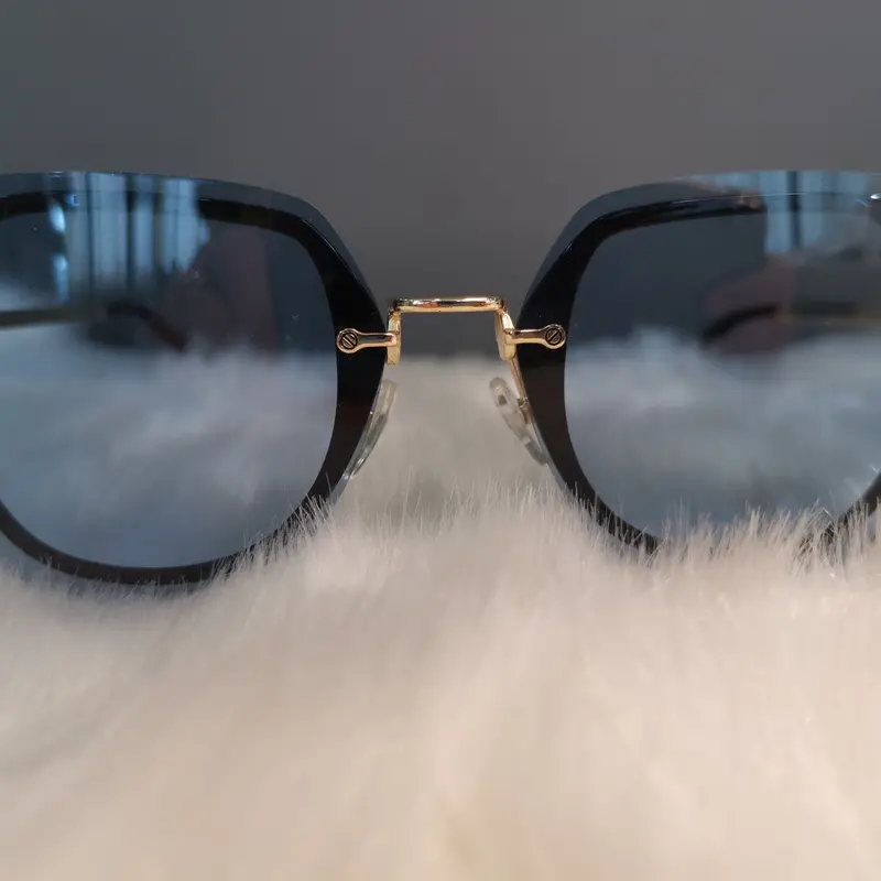 Aries Gold Unisex Premium Sunglasses - Blue 2