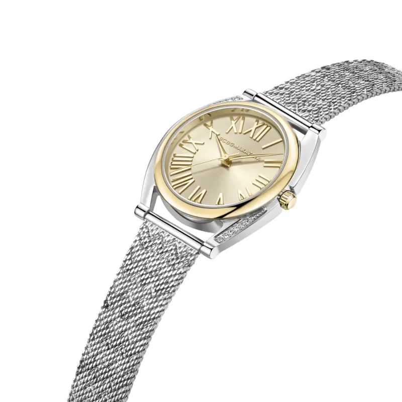 Bcbgmaxazria Bawlg2133901 Silver Stainless Steel Women's Watch 2