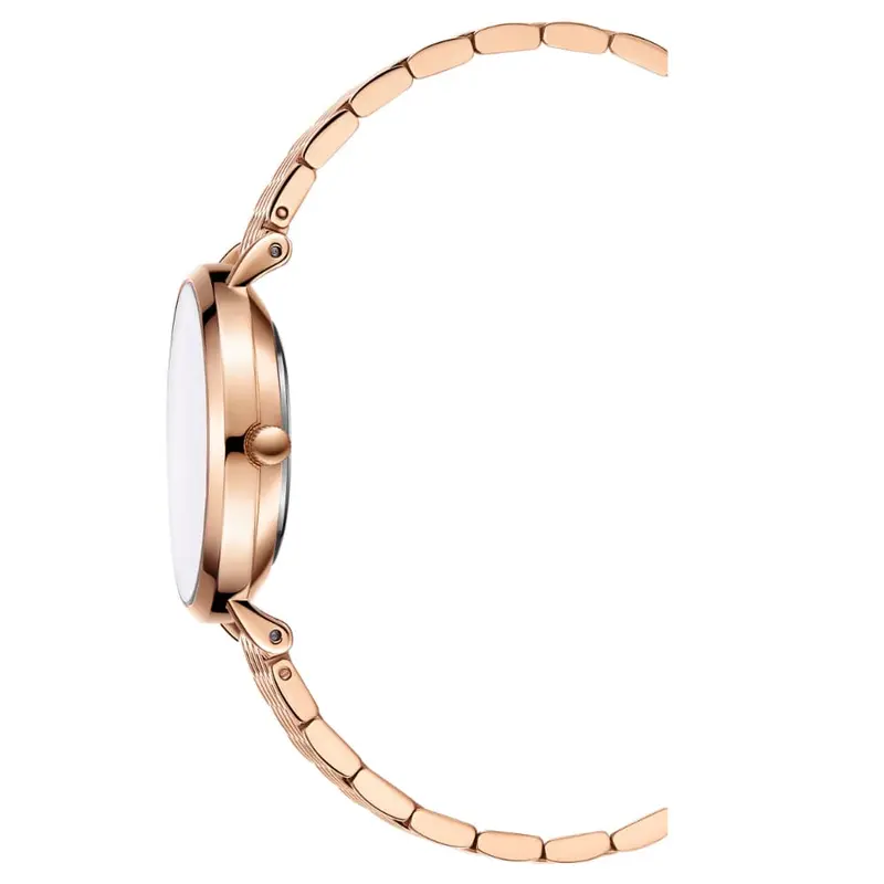 Bcbgmaxazria Bg50990007 Women's Watch 2