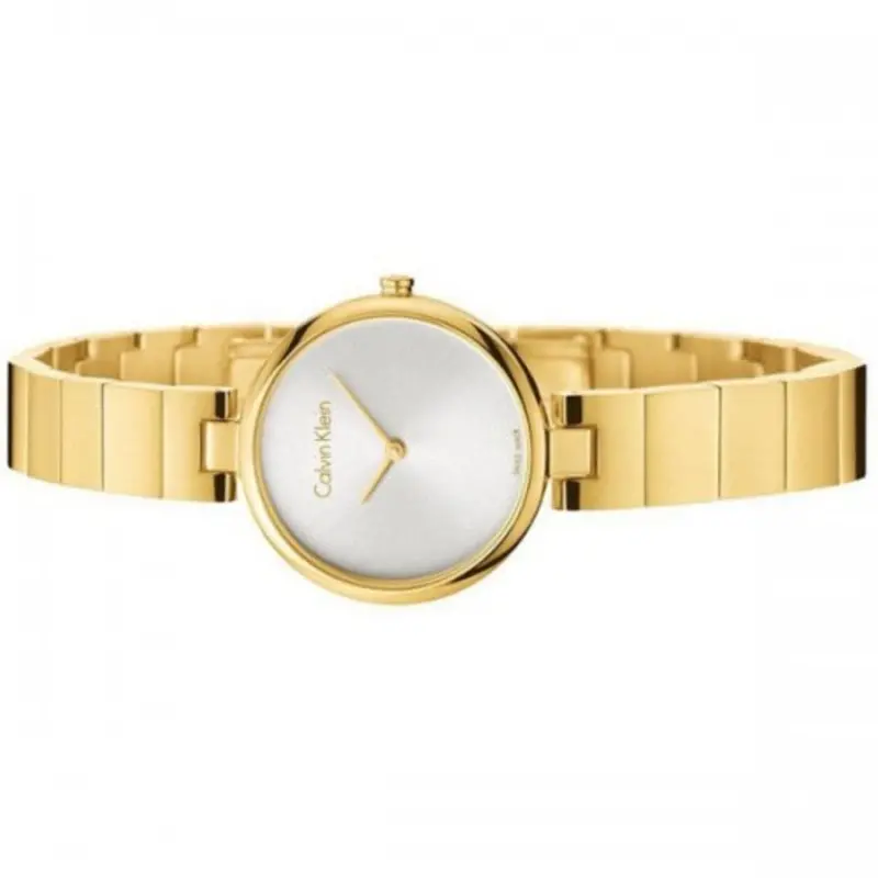 Calvin Klein Authentic K8g23546 Women's Watch 2