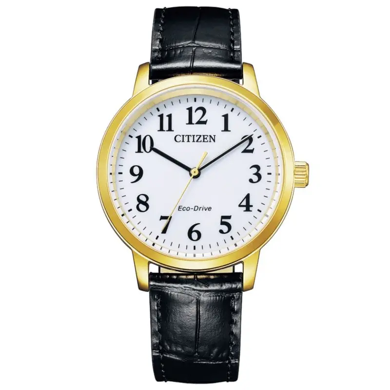 Citizen Bj6543-10A Collection Eco-Drive Solar Stainless Steel Men's Watch 1
