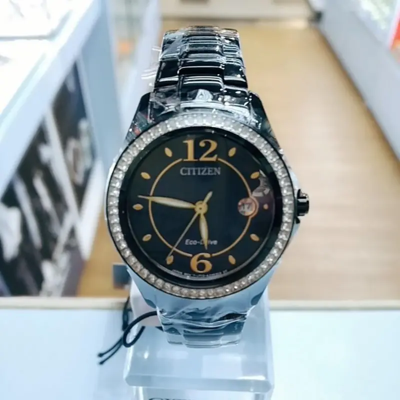 Citizen Eco-Drive Black Stainless Steel Women Watch Fe1255-84L 2