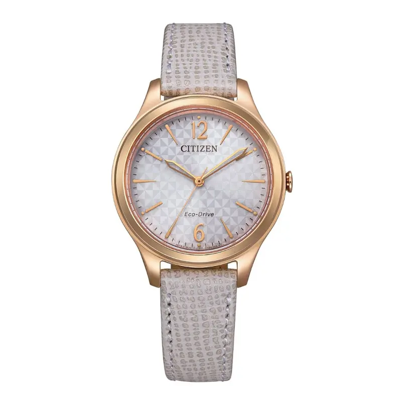 Citizen Eco-Drive Brown Leather Strap Women Watch Em0509-10A 1