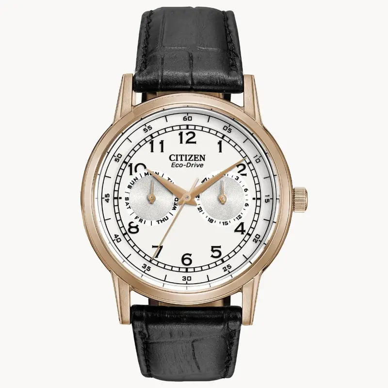 Citizen Eco-Drive Corso White Dial Black Leather Strap Men Watch Ao9003-16A 1
