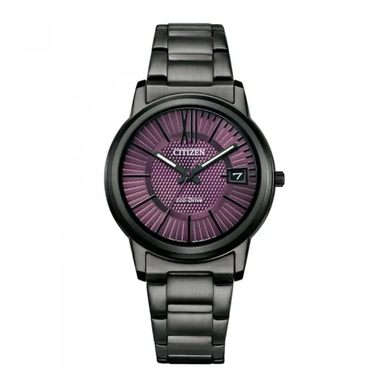 Citizen Eco-Drive Fe6017-85X Black Stainless Steel Women Watch 1