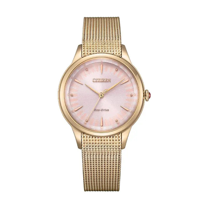 Citizen Eco-Drive Gold Stainless Steel Strap Women Watch Em0818-82X 1