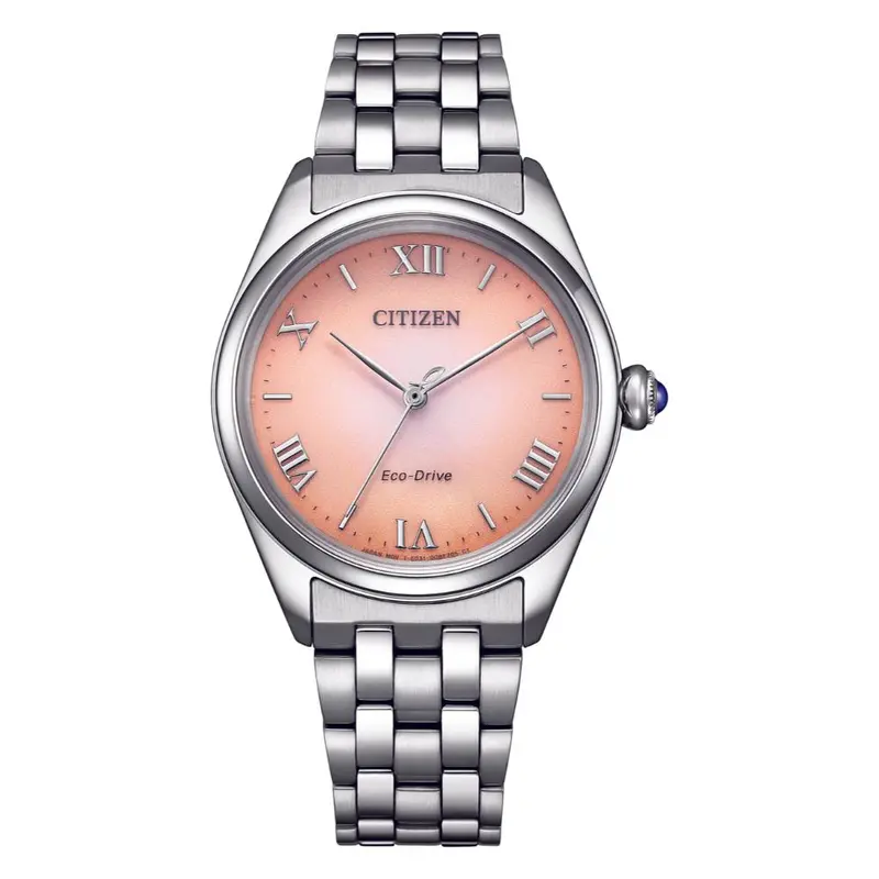 Citizen Eco-Drive Stainless Steel Women's Watch Em1140-80X 1