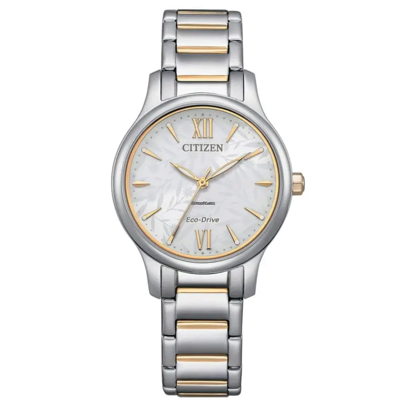 Citizen Eco Drive Two Tone Stainless Steel Women Watch Em0895-73A 1