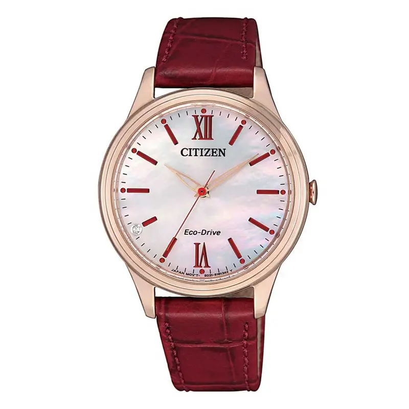 Citizen Em0413-17D Eco-Drive Women's Watch 1