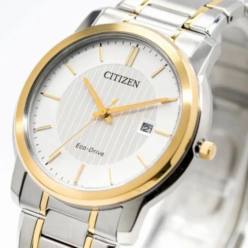 Citizen Fe6016-88A Eco-Drive Women's Watch 2