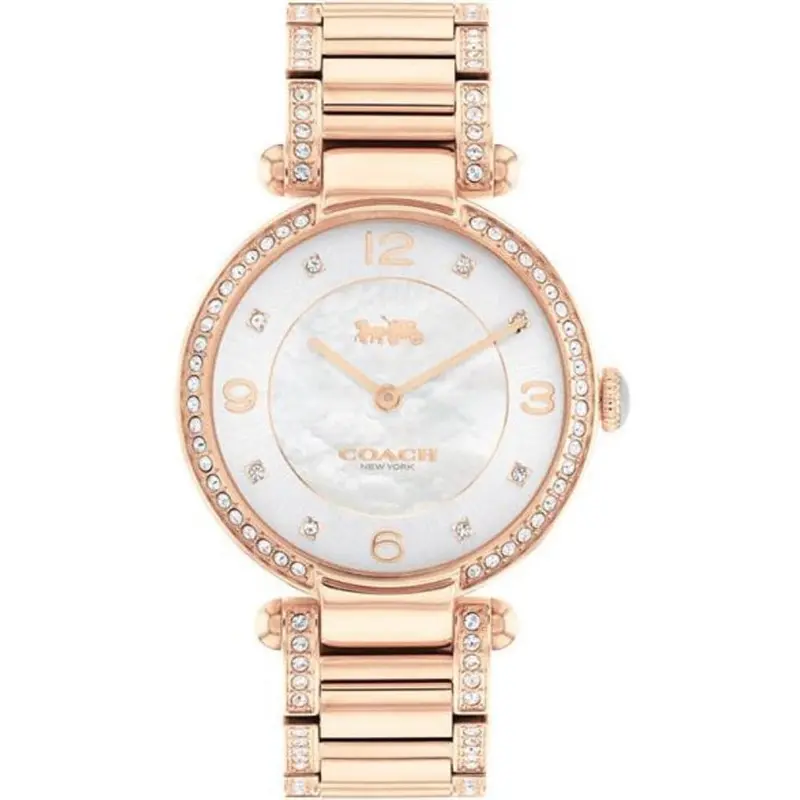 Coach 14503831 Stainless Steel Women's Watch 1