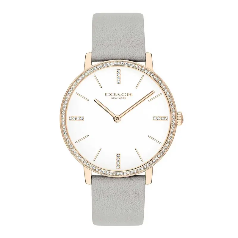 Coach Audrey 14503352 Women's Watch 1
