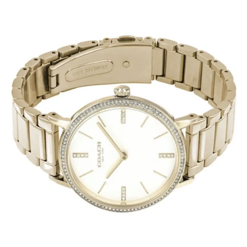 Coach Audrey 14503355 Women's Watch 2