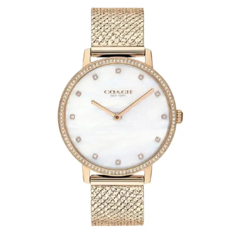 Coach Audrey 14503360 Women's Watch 1