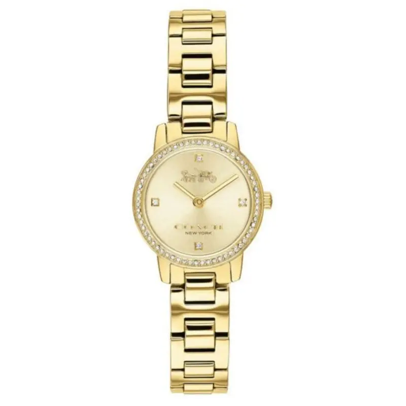 Coach Audrey 14503367 Women's Watch 1