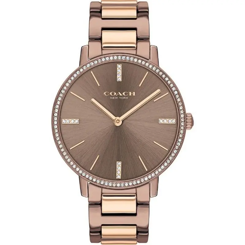 Coach Audrey 14503502 Women's Watch 1