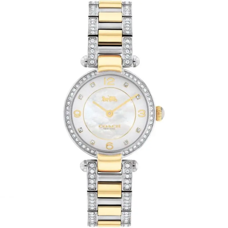 Coach Cary 14503840 Two-Tone Stainless Steel Strap Women Watch 1