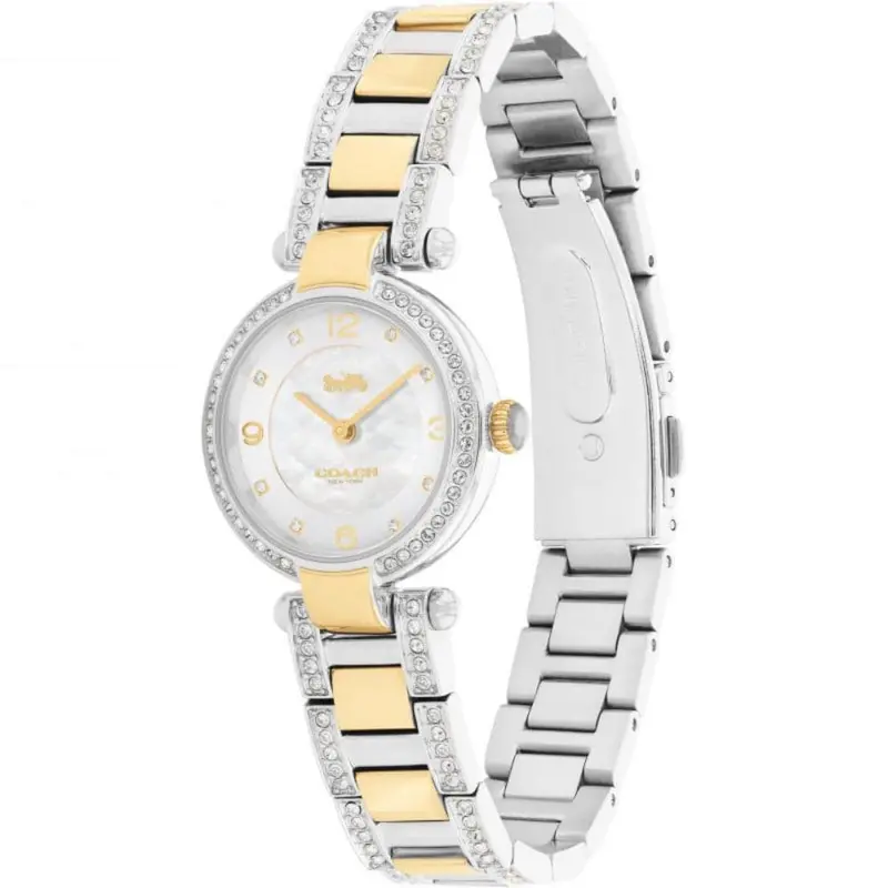 Coach Cary 14503840 Two-Tone Stainless Steel Strap Women Watch 2