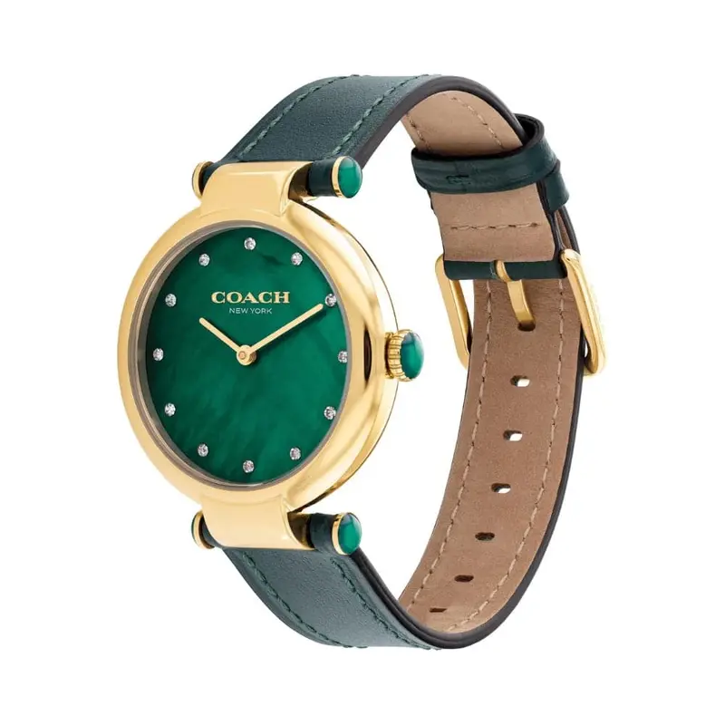 Coach Cary Green Dial And Leather Strap Women Watch 14503962 2