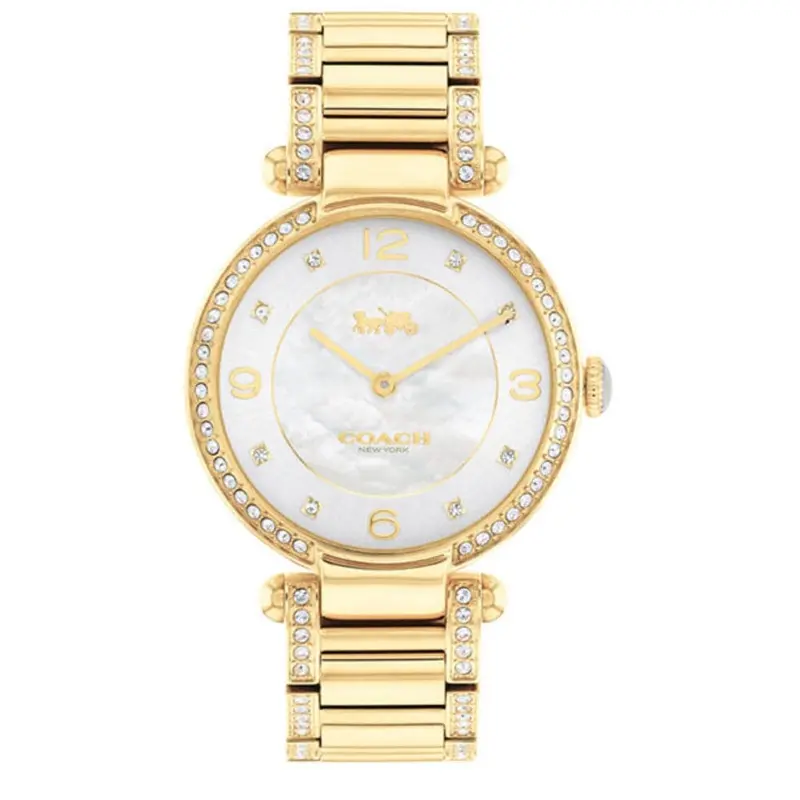 Coach Cary Silver Mother Of Pearl Women's Watch 14503832 1