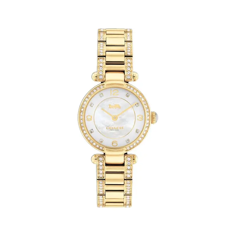 Coach Cary White Dial Stainless Steel Gold Strap Women Watch 14503839 1