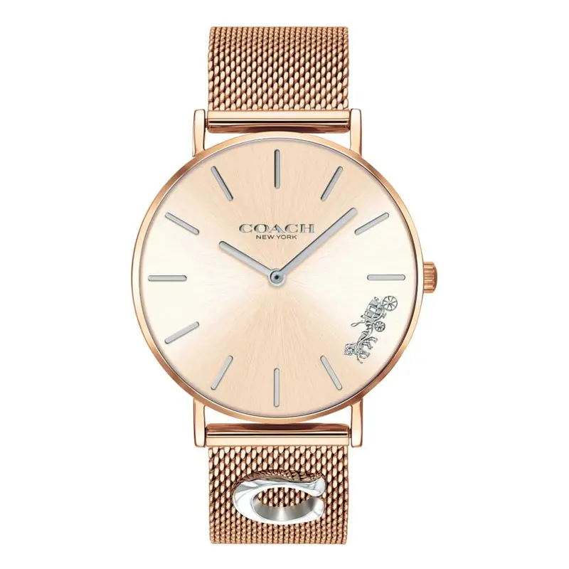 Coach Classic 14503338 Women's Watch 1