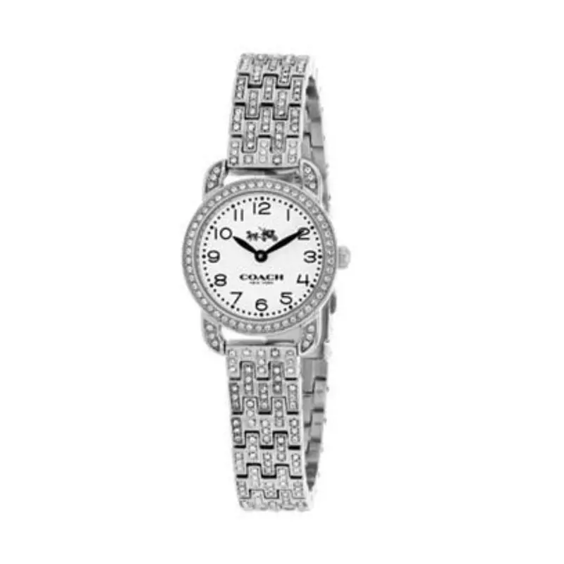 Coach Delancy Analog Quartz Silver Stainless Steel 14502655 Women's Watch 1