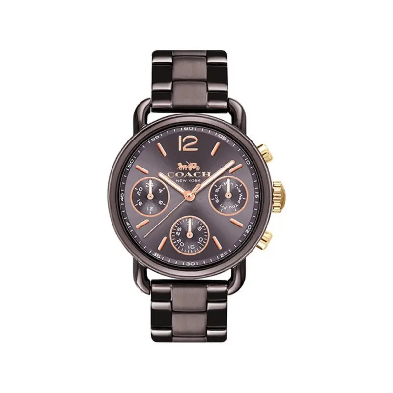 Coach Delancy Sport Chronograph Brown Stainless Steel 14502843 Women's Watch 1