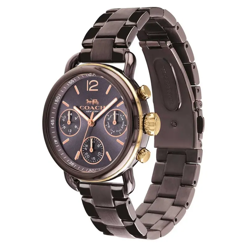Coach Delancy Sport Chronograph Brown Stainless Steel 14502843 Women's Watch 2