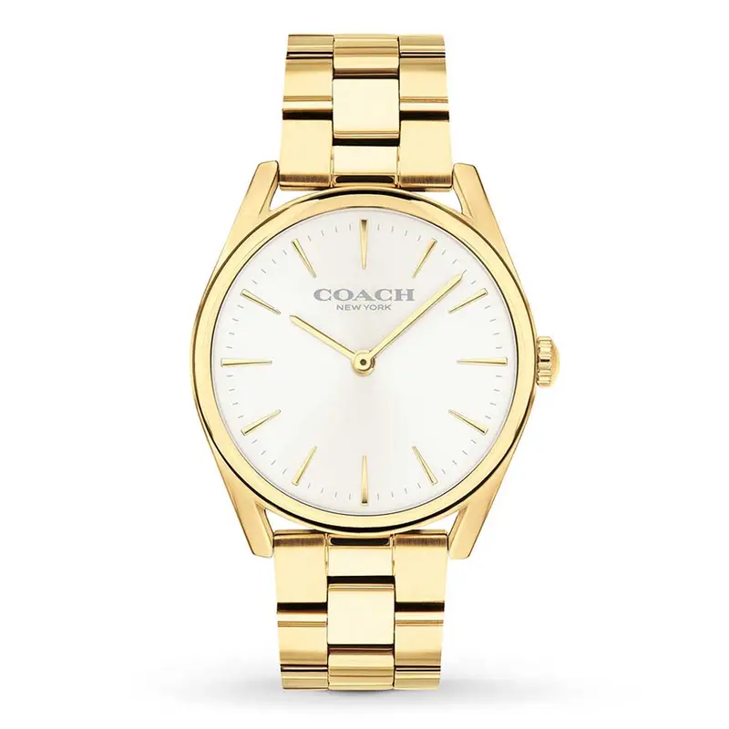 Coach Modern Luxury 14503109 Women's Watch 1