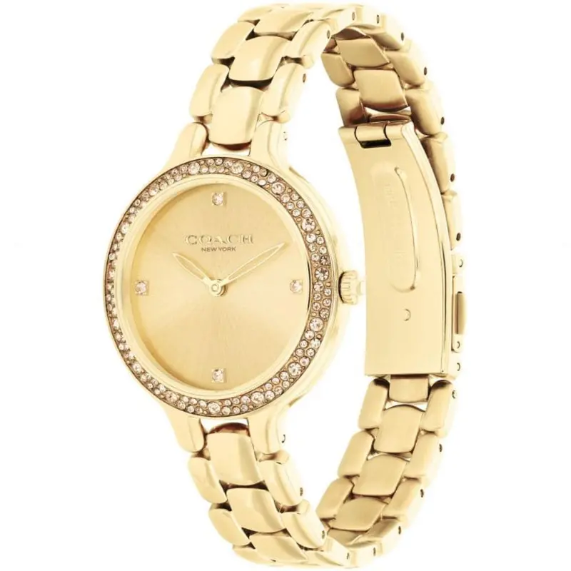 Coach New York Chelsea Gold Dial Stainless Steel Strap Women Watch 14504125 2