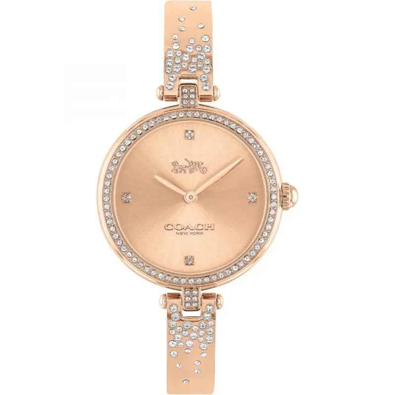 Coach Park 14503651 Rose Gold Stainless Steel With Crystal Women's Watch 1