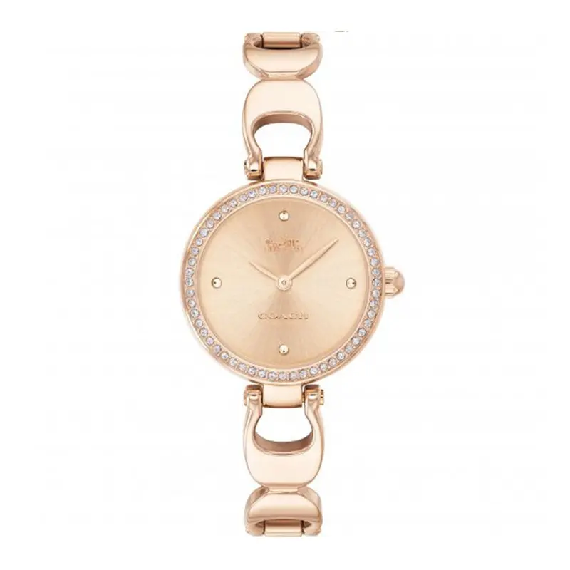 Coach Park Analog Quartz Rose Gold Stainless Steel 14503172 Women's Watch 1