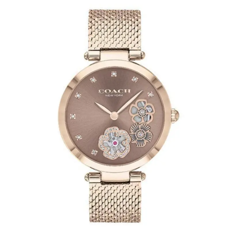 Coach Park Brown Women's Watch 14503566 1