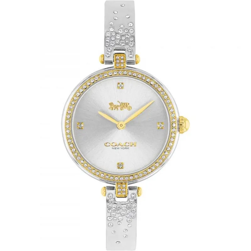 Coach Park Ladies Silver Stainless Steel Strap Women Watch 14503652 1