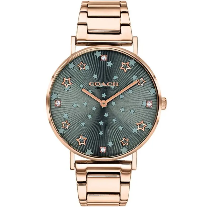 Coach Perry Grey 14503524 Women's Watch 1