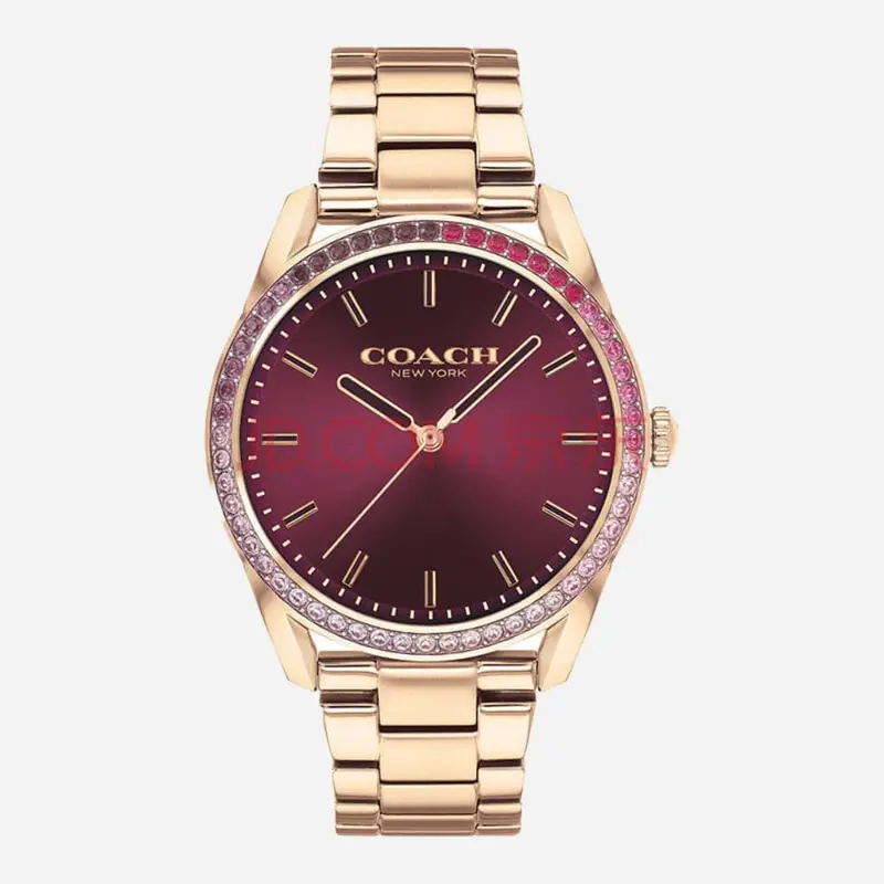 Coach Preston 14503477 Women's Watch 1