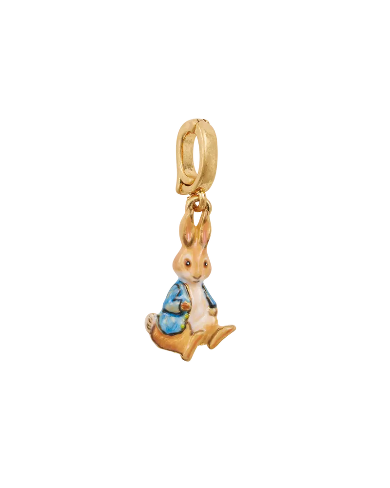 Fable England X Peter Rabbit Charm 1