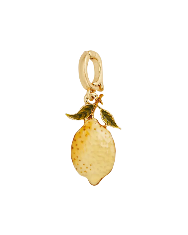 Fable England X Peter Rabbit Lemon Charm 1