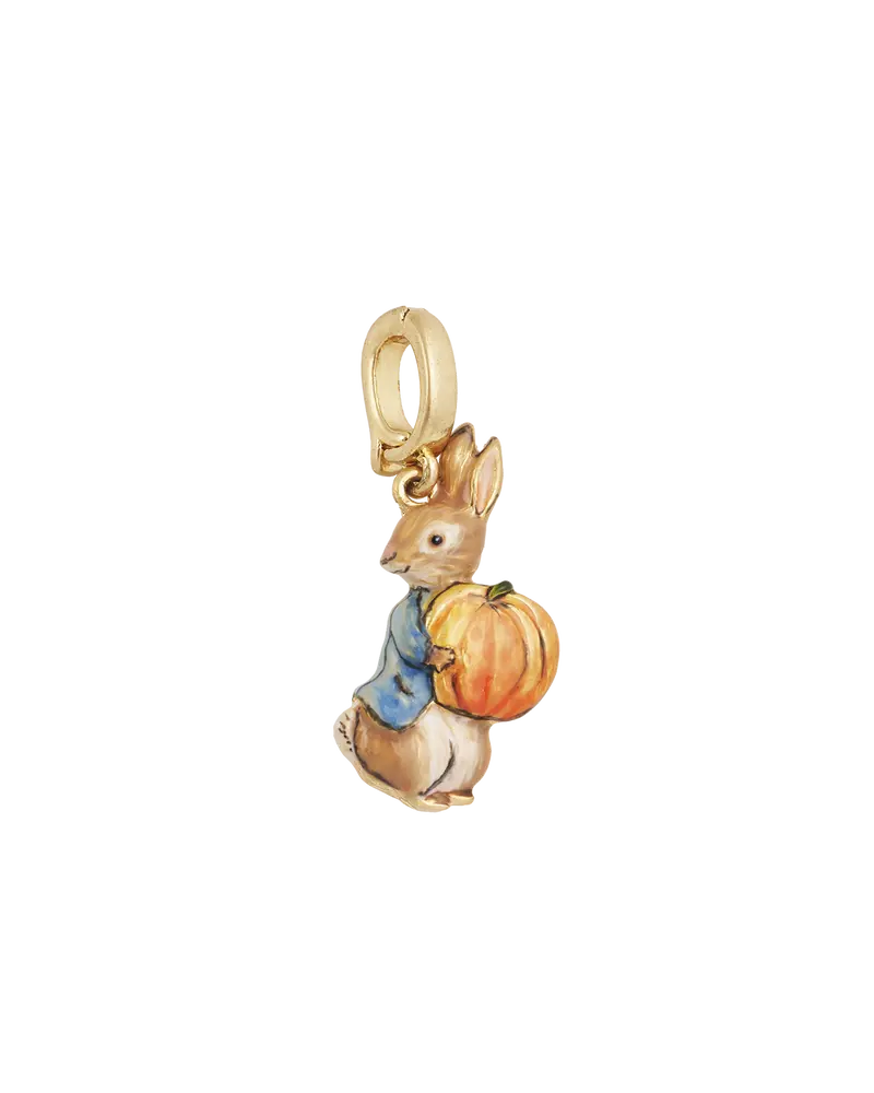 Fable England X Peter Rabbit Pumpkin Charm 1