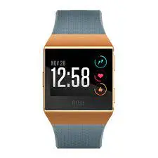 Fitbit Ionic Fb503cpbu Slate Blue/Burnt Orange Fitness Watch 1