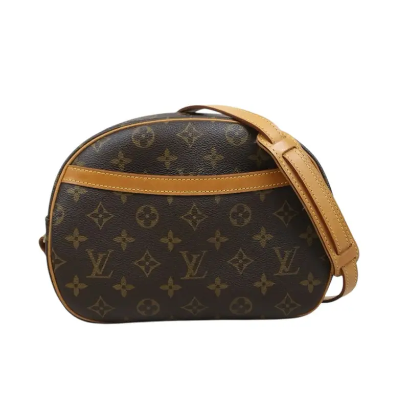 Louis Vuitton 25101501 (Good Condition) 1