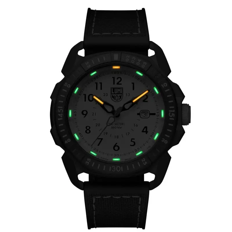 Luminox Lm1007 Ice-Sar Arctic Men's Watch 2