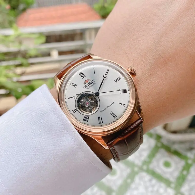 Orient Fag00001s0 Brown Leather Men's Watch 2