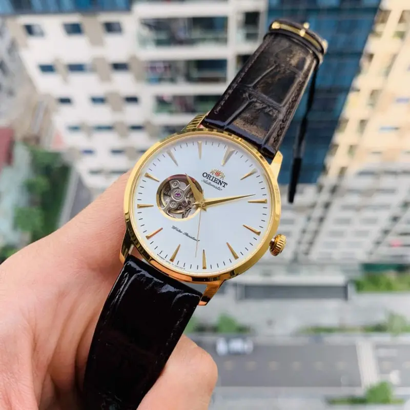 Orient Fag02003w0 Brown Leather Men Watch 2